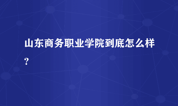 山东商务职业学院到底怎么样？