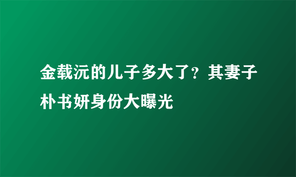 金载沅的儿子多大了？其妻子朴书妍身份大曝光