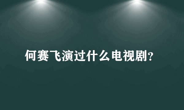 何赛飞演过什么电视剧？