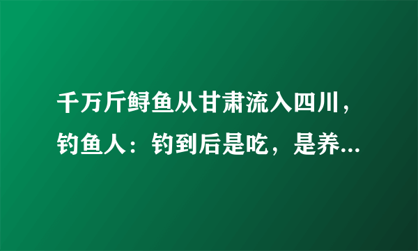 千万斤鲟鱼从甘肃流入四川，钓鱼人：钓到后是吃，是养，还是卖？