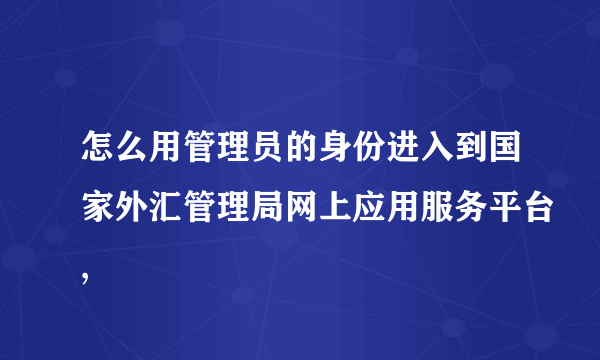 怎么用管理员的身份进入到国家外汇管理局网上应用服务平台,