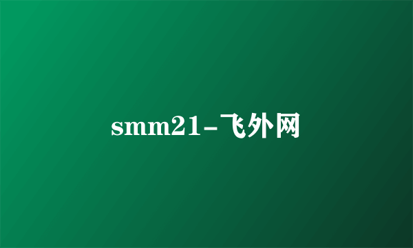 smm21-飞外网