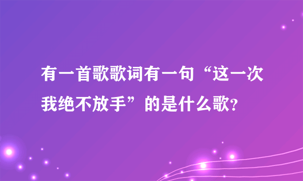 有一首歌歌词有一句“这一次我绝不放手”的是什么歌？