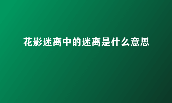 花影迷离中的迷离是什么意思