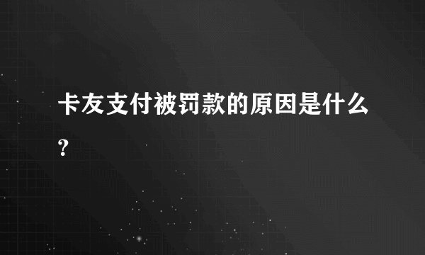 卡友支付被罚款的原因是什么？