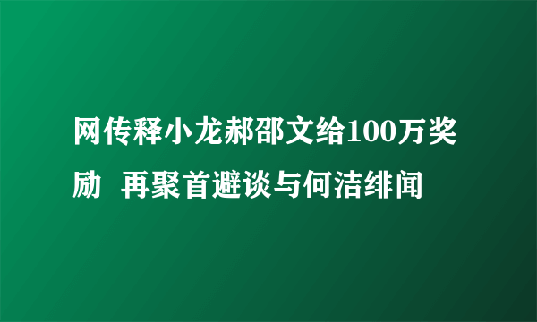 网传释小龙郝邵文给100万奖励  再聚首避谈与何洁绯闻