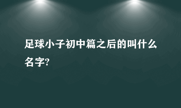 足球小子初中篇之后的叫什么名字?