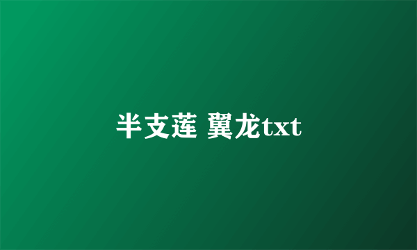 半支莲 翼龙txt