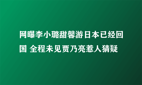 网曝李小璐甜馨游日本已经回国 全程未见贾乃亮惹人猜疑