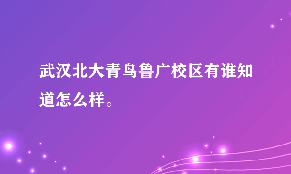 武汉北大青鸟鲁广校区有谁知道怎么样。