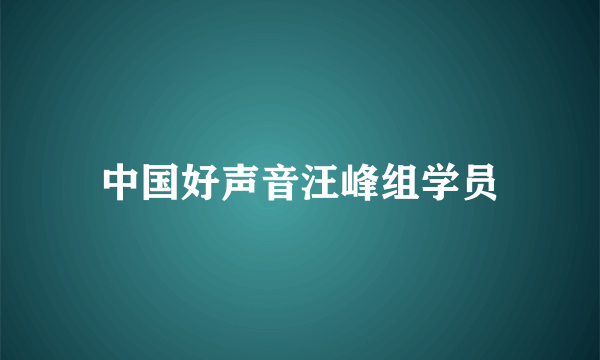 中国好声音汪峰组学员