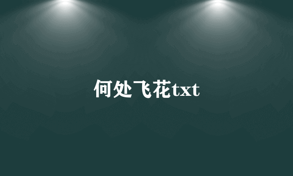 何处飞花txt