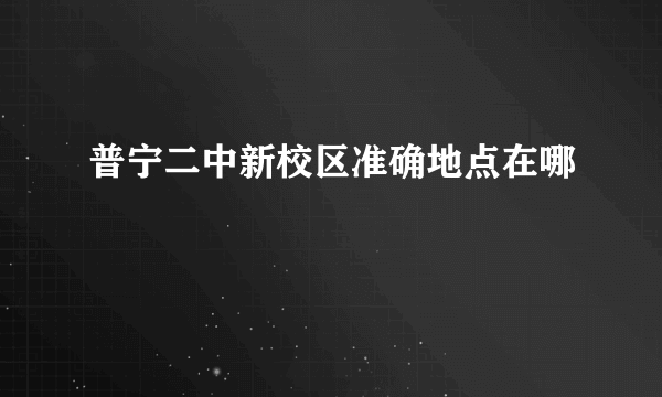 普宁二中新校区准确地点在哪