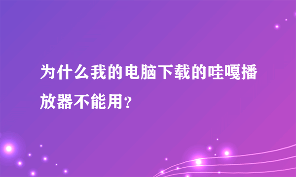 为什么我的电脑下载的哇嘎播放器不能用？