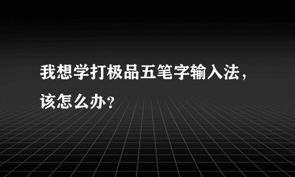 我想学打极品五笔字输入法，该怎么办？