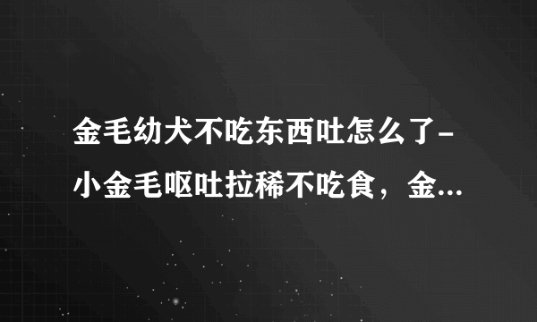 金毛幼犬不吃东西吐怎么了-小金毛呕吐拉稀不吃食，金毛拉稀呕吐不吃食物是怎么办了？