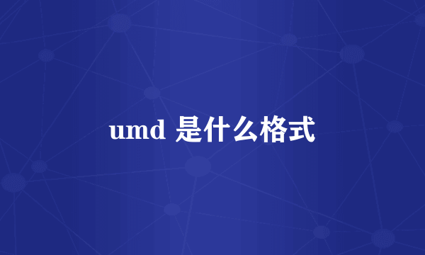 umd 是什么格式