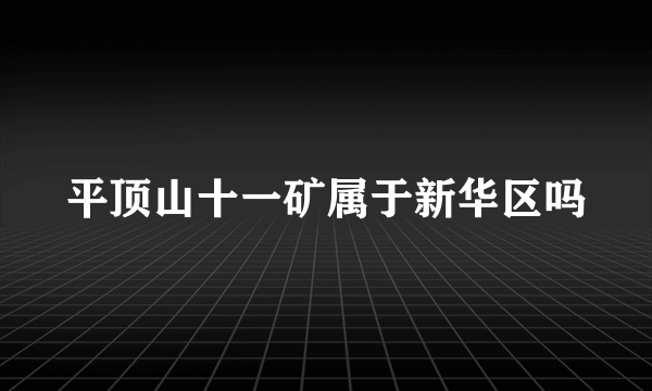 平顶山十一矿属于新华区吗