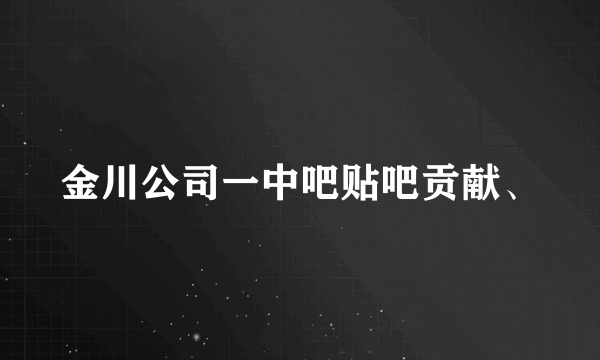 金川公司一中吧贴吧贡献、