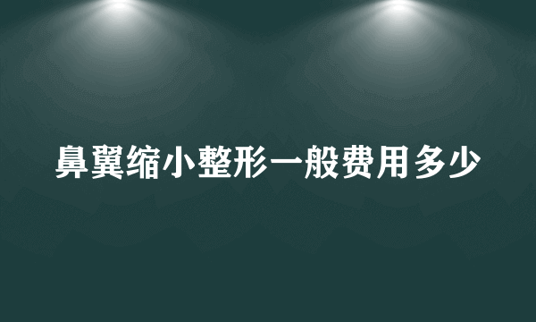 鼻翼缩小整形一般费用多少