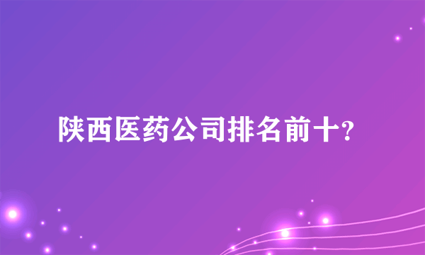 陕西医药公司排名前十？