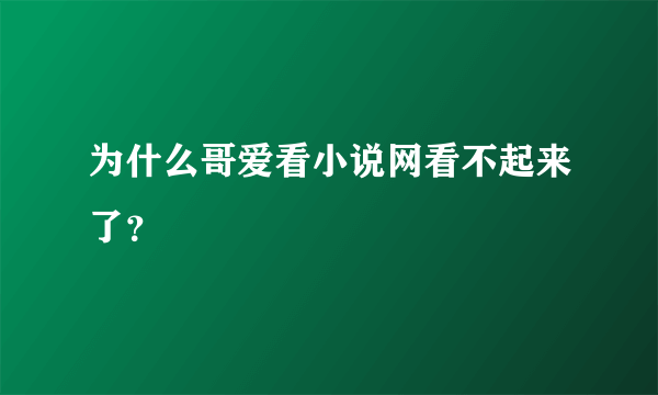 为什么哥爱看小说网看不起来了？