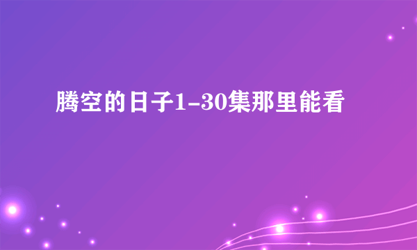 腾空的日子1-30集那里能看