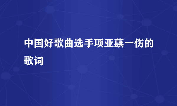 中国好歌曲选手项亚蕻一伤的歌词