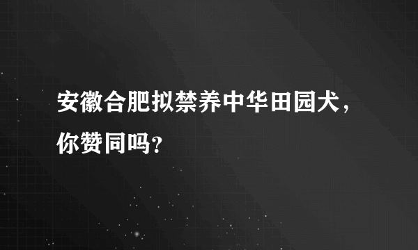 安徽合肥拟禁养中华田园犬，你赞同吗？