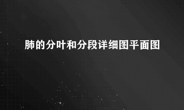 肺的分叶和分段详细图平面图