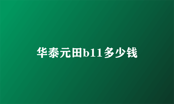 华泰元田b11多少钱