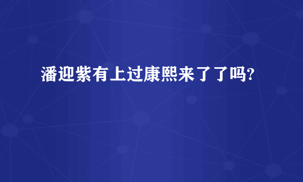 潘迎紫有上过康熙来了了吗?