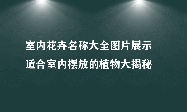 室内花卉名称大全图片展示 适合室内摆放的植物大揭秘