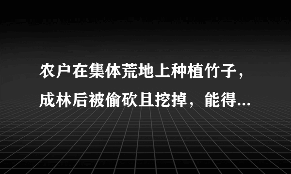 农户在集体荒地上种植竹子，成林后被偷砍且挖掉，能得到赔偿吗？有何依据？