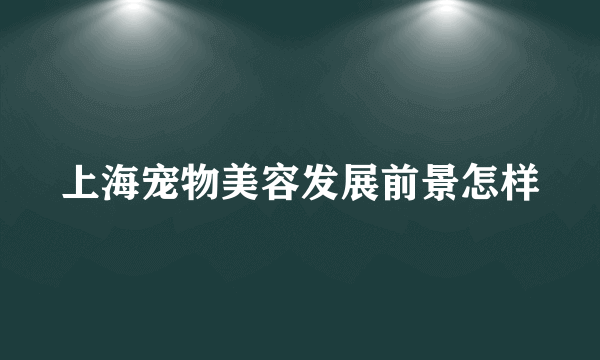 上海宠物美容发展前景怎样