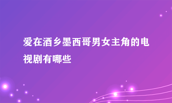 爱在酒乡墨西哥男女主角的电视剧有哪些