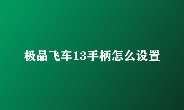 极品飞车13手柄怎么设置