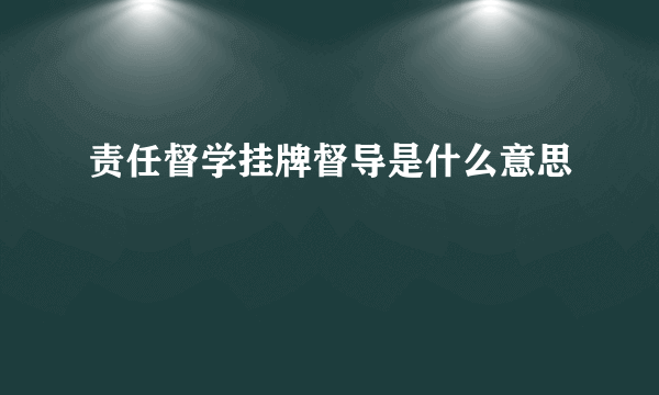 责任督学挂牌督导是什么意思