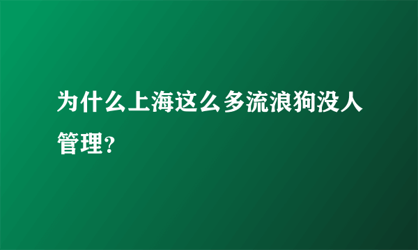 为什么上海这么多流浪狗没人管理？