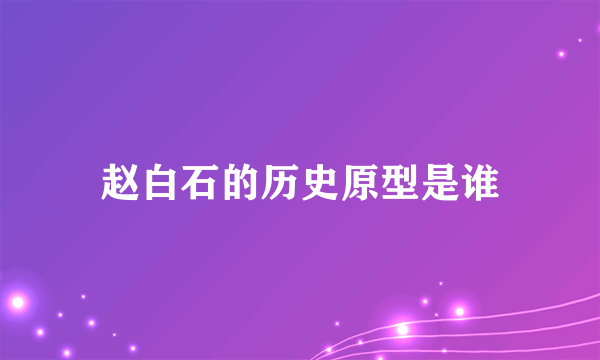 赵白石的历史原型是谁