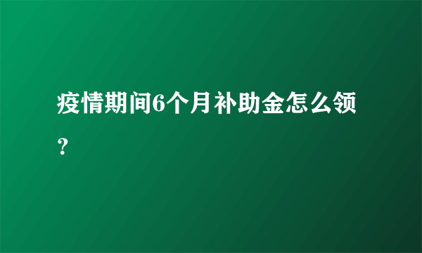 疫情期间6个月补助金怎么领？