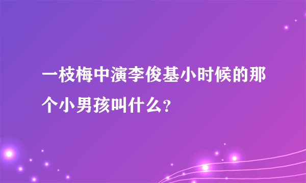 一枝梅中演李俊基小时候的那个小男孩叫什么？