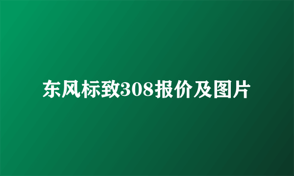 东风标致308报价及图片