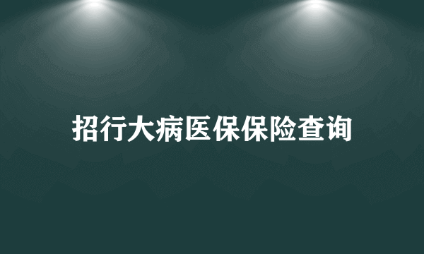 招行大病医保保险查询