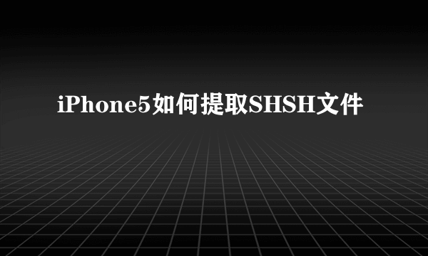 iPhone5如何提取SHSH文件