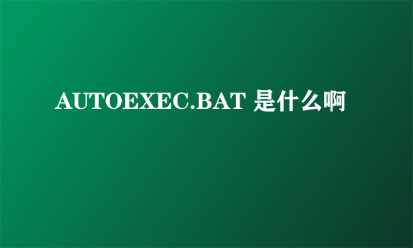 AUTOEXEC.BAT 是什么啊