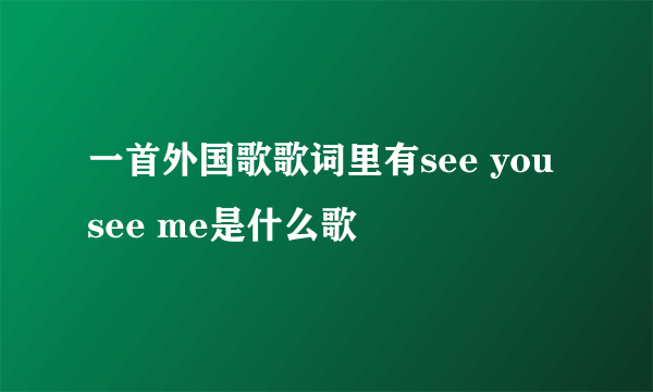 一首外国歌歌词里有see you see me是什么歌