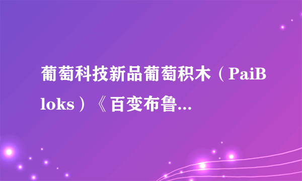 葡萄科技新品葡萄积木（PaiBloks）《百变布鲁可》系列几岁的孩子能玩