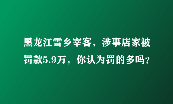 黑龙江雪乡宰客，涉事店家被罚款5.9万，你认为罚的多吗？