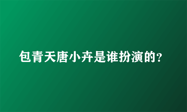 包青天唐小卉是谁扮演的？